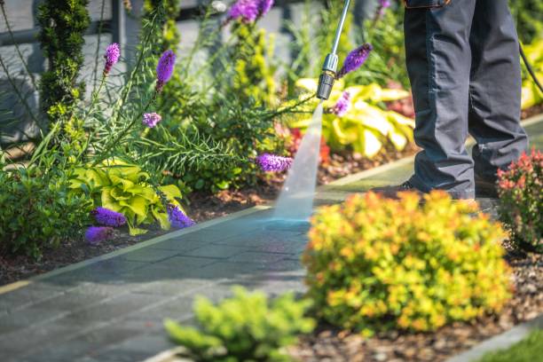 Reliable Tracy, MN Pressure Washing Services Solutions