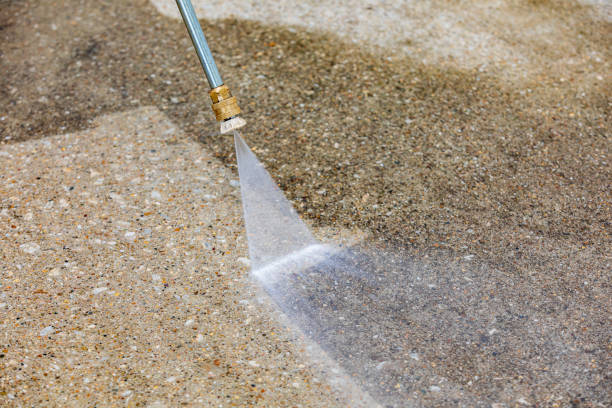 Best Roof Cleaning and Mildew Removal in Tracy, MN